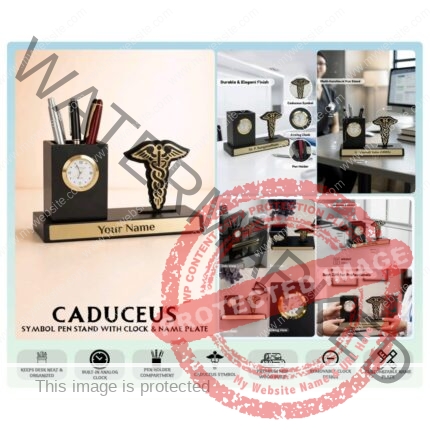 Caduceus Desk Organiser